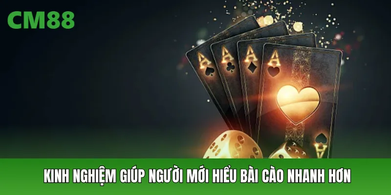 Kinh nghiệm giúp người mới hiểu bài cào nhanh hơn